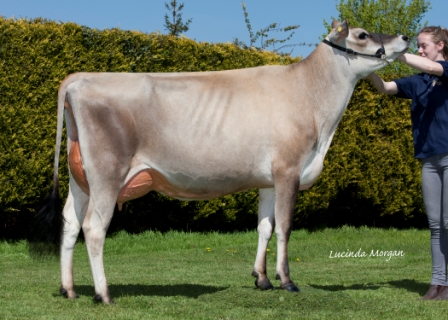 actionman action jane